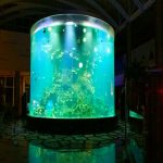 china vlastné lacné super super okrúhle pmma sklenené akváriá jasné valec akrylové nádrže na ryby