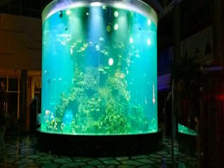 china vlastné lacné super super okrúhle pmma sklenené akváriá jasné valec akrylové nádrže na ryby
