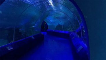 180 alebo 90 stupňových akrylových panelov pre akvarijný tunel