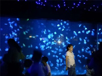 2018 akrylová medúza akvarijného tanku