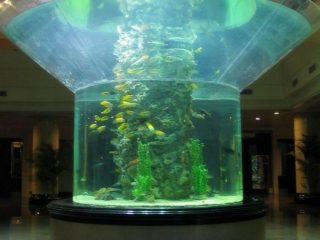 pmma sklo akvárium polovičné valec perspex jasné ryby nádrž