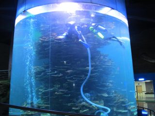 číry akrylový valec veľký nádrž na ryby pre akváriá alebo oceán park