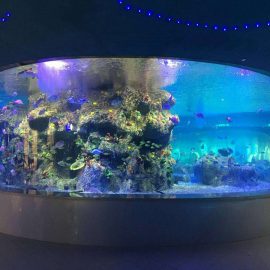 továreň na zásobovanie rybami, akváriá z okrúhlych sklenených nádrží