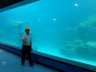 Liatinový akrylový panel s odlievanou stenou pre akvárium, oceánia