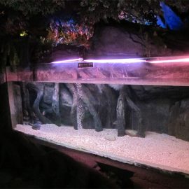 Akrylový bazénový panel / okná pre podmorský morský svet