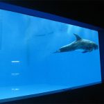 vysoko kvalitné Veľké akrylové akvárium / bazén okná podvodné hrubé okná list