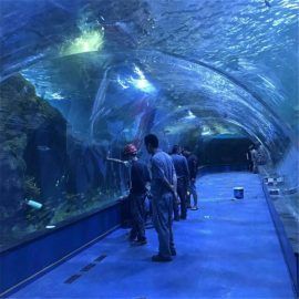 Projekt oceánarového akrylového tunelu v verejných akváriách