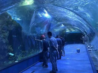 Projekt oceánarového akrylového tunelu v verejných akváriách