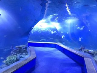 Jasný pmma akryl Veľký plastový tunel akvária
