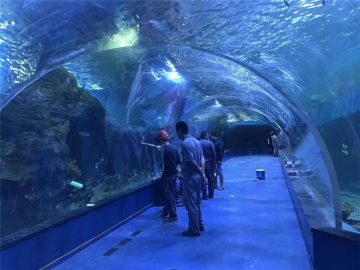 Vlastné plexisklo akrylové tunelové akvárium