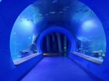Vysoko čisté veľké akrylové tunelové akvárium rôznych tvarov