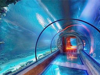 Moderný dizajn akrylového akváriového dlhého tunelu
