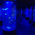 akrylové medúzy akvarijné sklo tanku